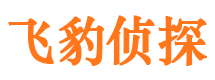 玉龙市侦探调查公司